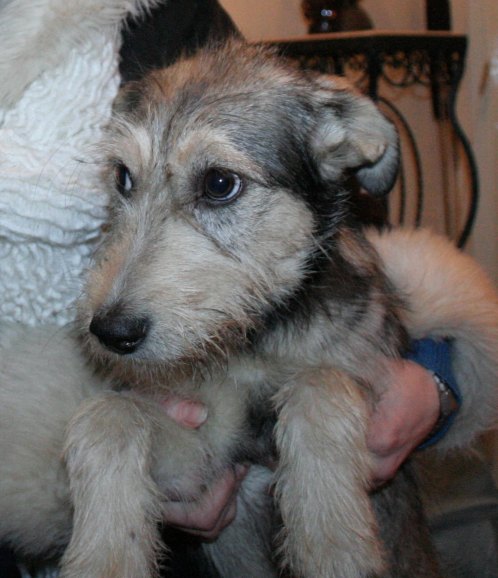 Click to view full size image